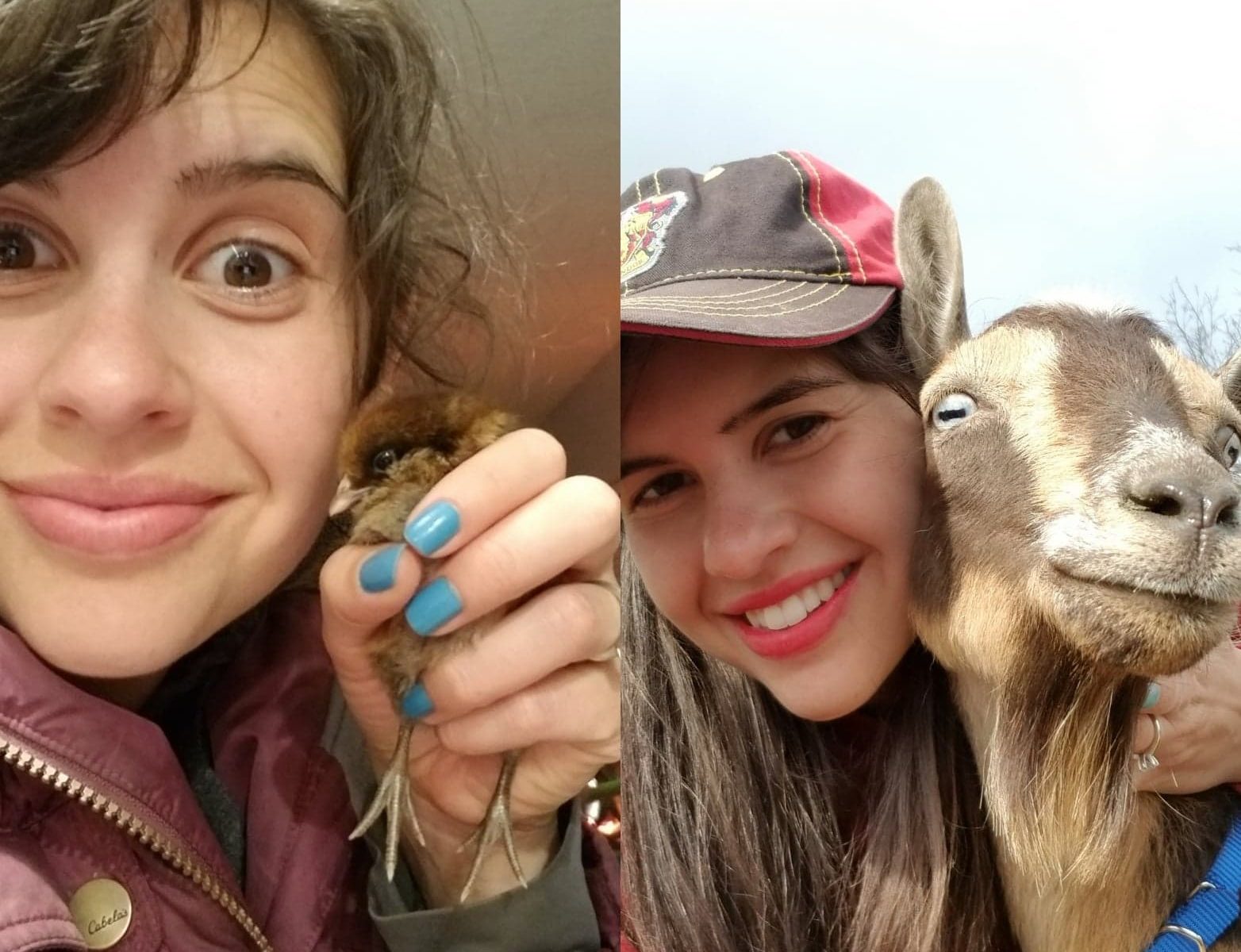 Isolation Support Animals